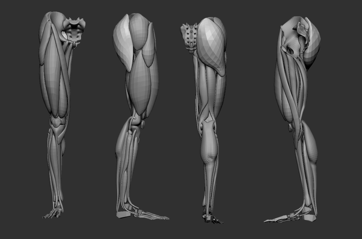 mimicvfx_'s tweet photo. What makes characters truly lifelike?Mimic VFX’s muscle simulation recreates real anatomy, adding tension, weight &amp; fluid motion to every performance. 🌎 https://t.co/uXpuasRz6x#MuscleSimulation #RealisticAnimation https://t.co/O506YAiiOF