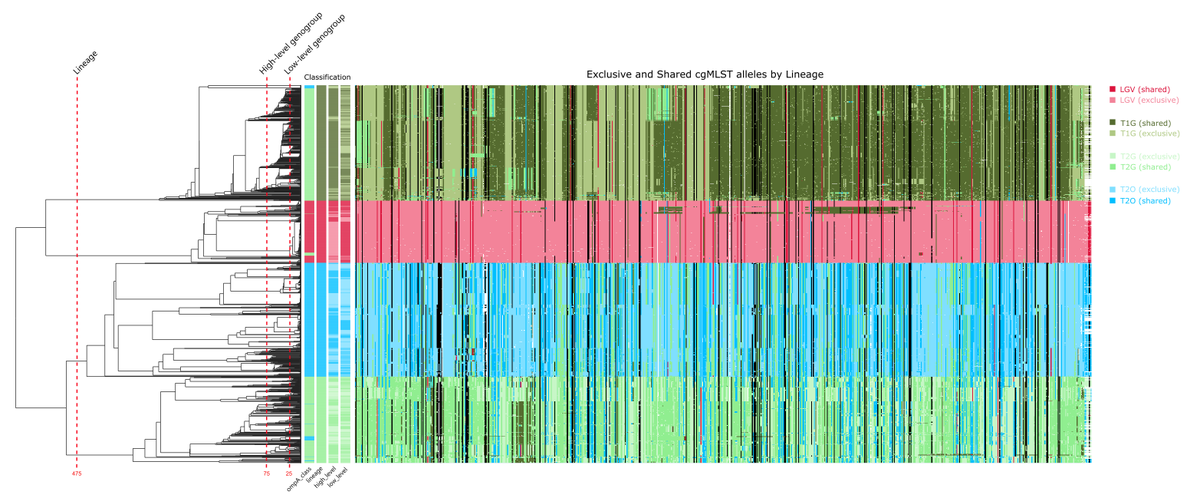 Vítor Borges tweet media