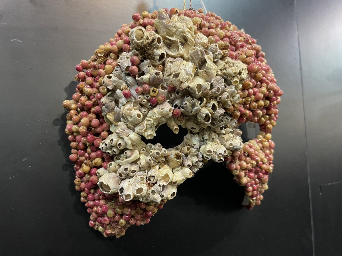 👉 Nova exposició a la Biblioteca Lambert Mata de #Ripoll: “Som natura”, d’Antonela M. Lauri. 

🗓️ Es pot visitar fins al 31 d’octubre. 

🎭 Màscares espectaculars fetes d’elements de la natura. No us la perdeu!
