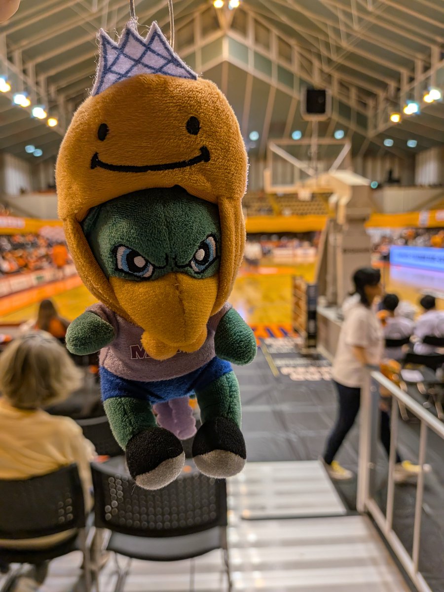 今日はこっから🏀
頑張れ！ベルテックス✨