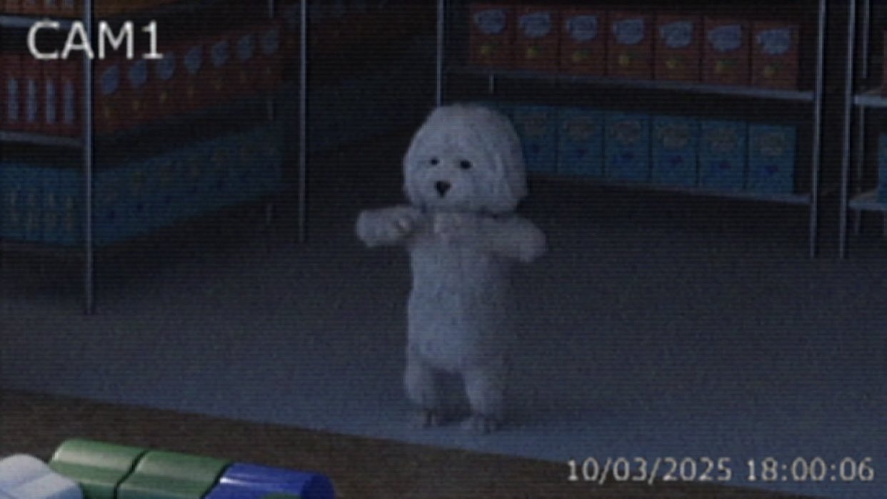 七熊 (@helloplatypus7) / X