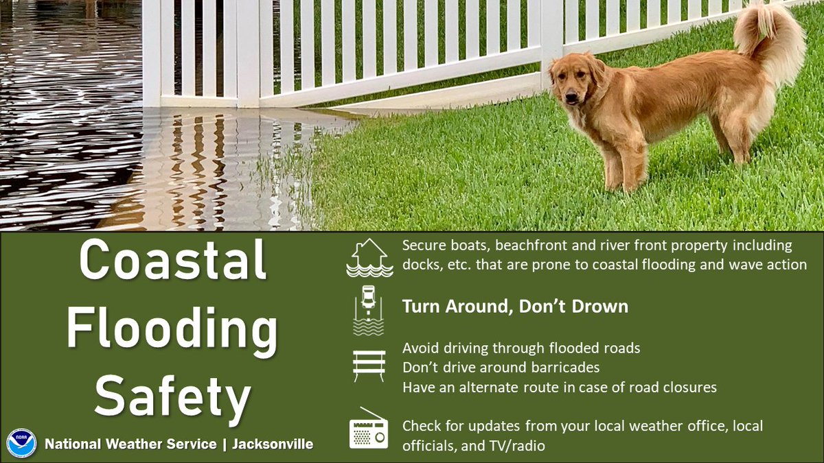 ⚠️Coastal Flood Warnings go into effect later Friday afternoon &amp; evening within the St. Johns River basin &amp; along most of coastal northeast FL

🌊Dangerous marine &amp; beach conditions continue

💧Heavy downpours possible this weekend &amp; early next week

#flwx #gawx #jaxwx <a href="/JaxReady/">JaxReady</a>