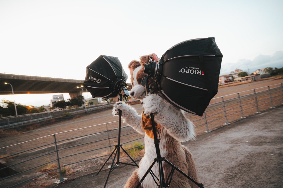 Clocking out, work’s over!

📸 <a href="/loniceradc66/">獸迷二兵🔜2025 Infurnity</a> 
#FursuitFriday