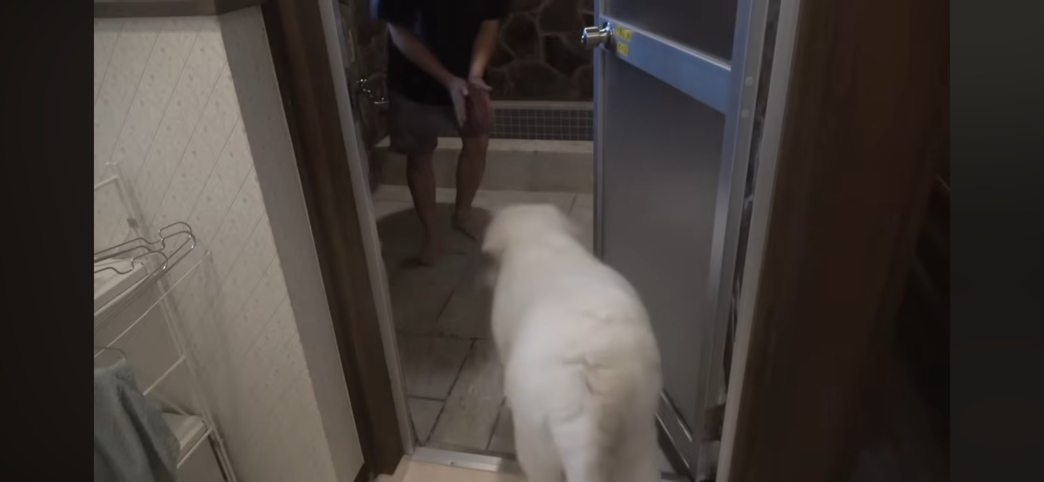 くまさま確認ページ♡ おしりにくまさん新生児の秋コーデのスタイリング | Gap公式