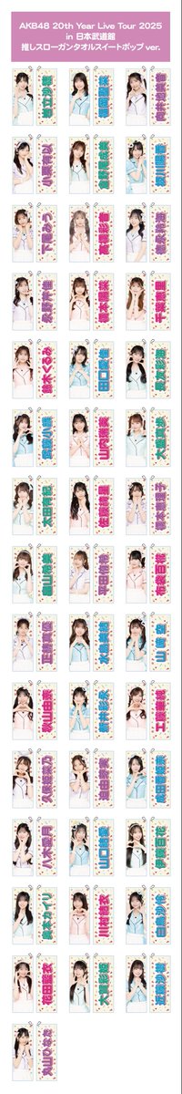 AKB48 20th Year Live Tour 2025 in 日本武道館 推しスローガンタオル
