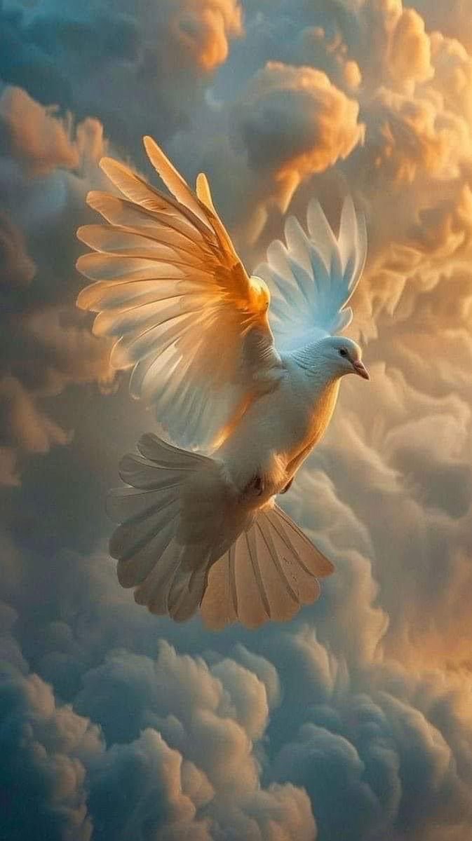 JoyActivist's tweet photo. “And everything I’ve taught you is so that the peace which is in me will be in you and will give you great confidence as you rest in me. For in this unbelieving world you will experience trouble and sorrows, but you must be courageous, for I have conquered the world!”
John 16:33 https://t.co/emm2eESwo7