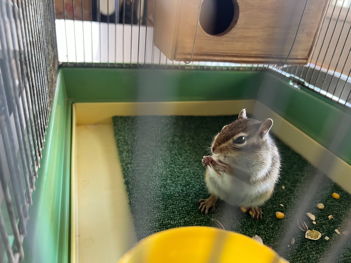 旭川市旭山動物園［公式］ on X