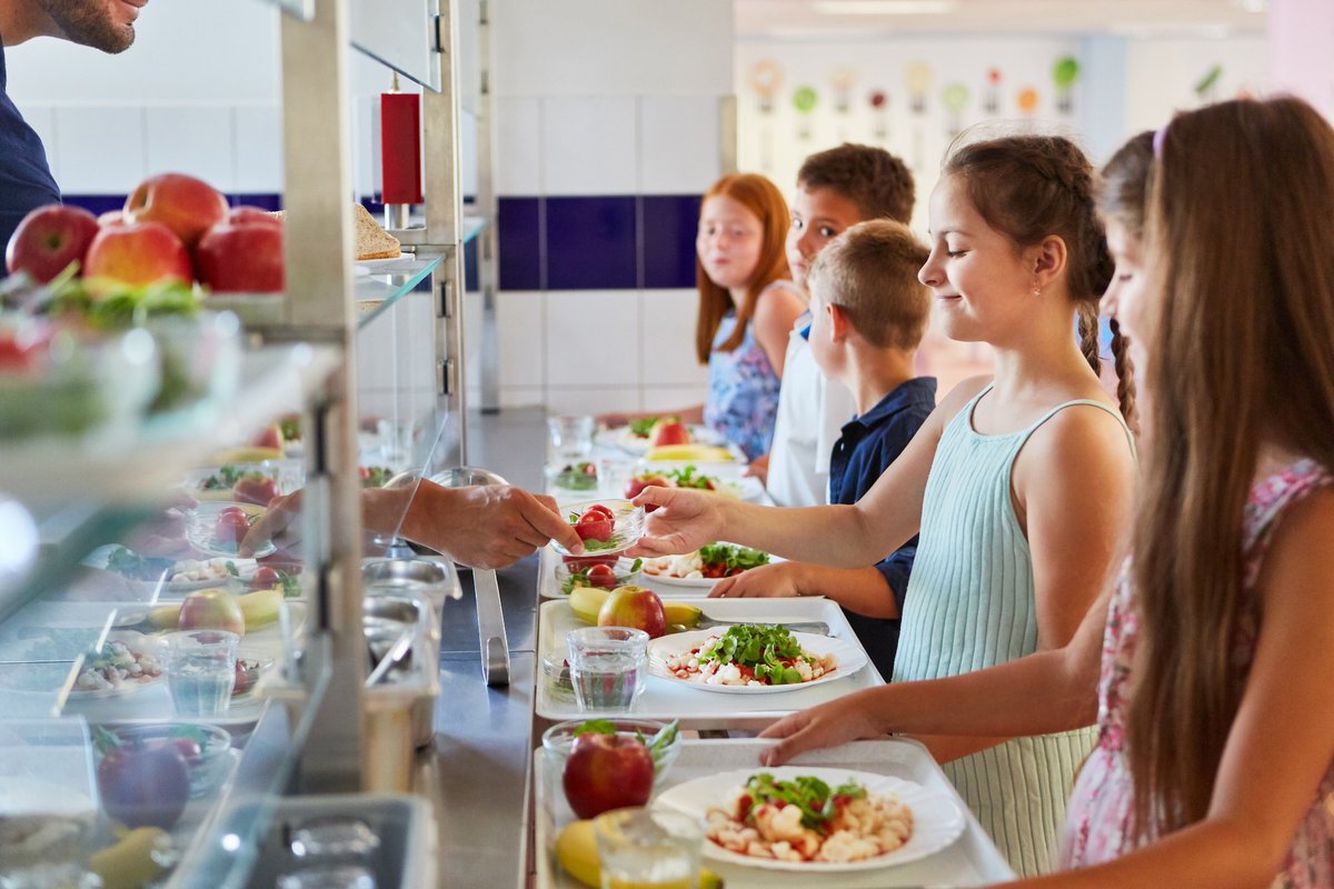 NewsMedical's tweet image. Universal free school meals are linked to healthier blood pressure in kids, not just lower obesity. Could school lunches be key to better child health? 🥗📉 news-medical.net/news/20251003/… #PublicHealth #ChildNutrition