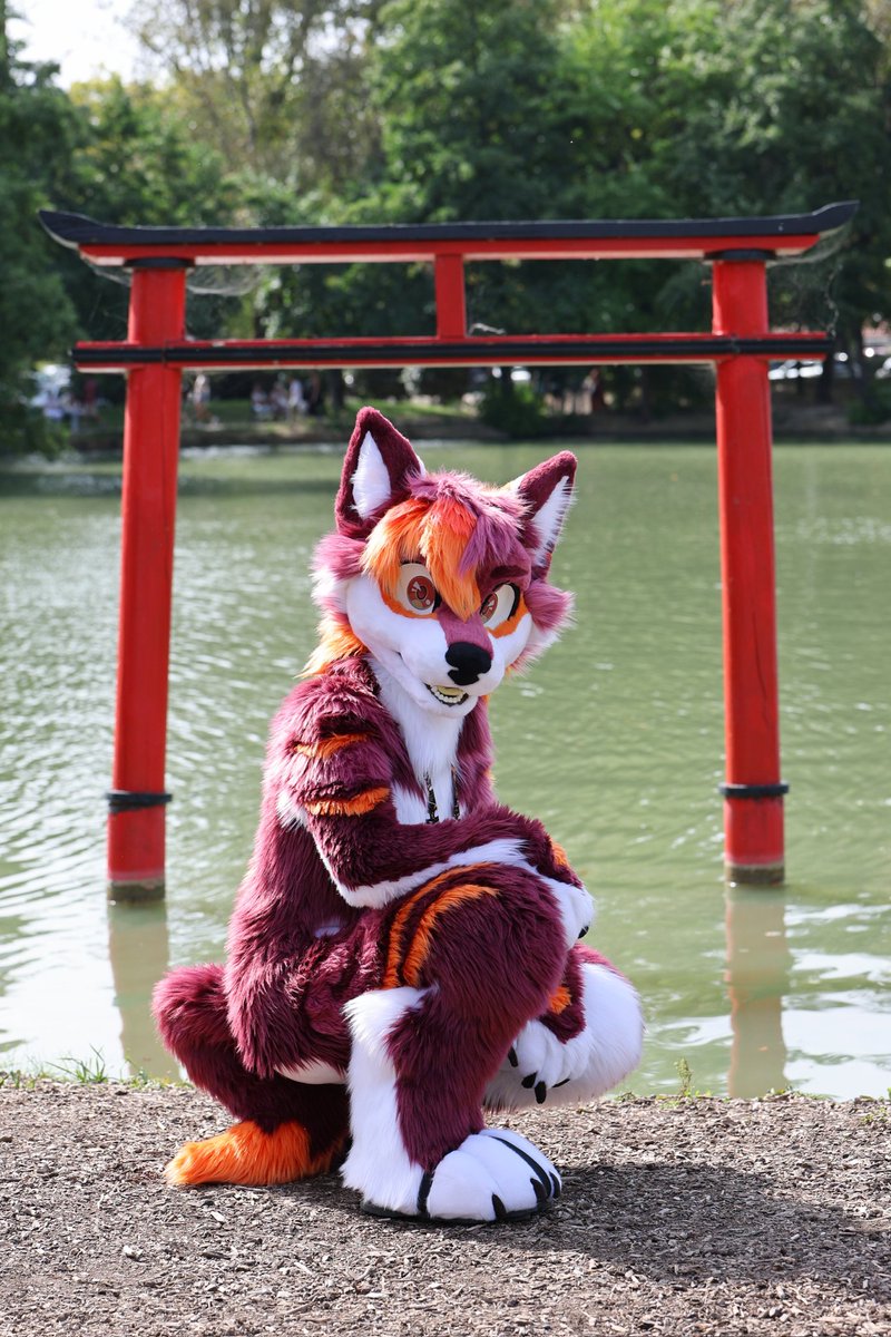 Prerayd 🔜 #FurEast2025 #FBL13 #ATT1 (@prerayd) on Twitter photo Will you follow me to the other side? ⛩️
🪡: <a href="/HybridLFursuits/">HybridLabs Fursuits 🐺🐉</a> 
#FursuitFriday Will you follow me to the other side? ⛩️
🪡: <a href="/HybridLFursuits/">HybridLabs Fursuits 🐺🐉</a> 
#FursuitFriday