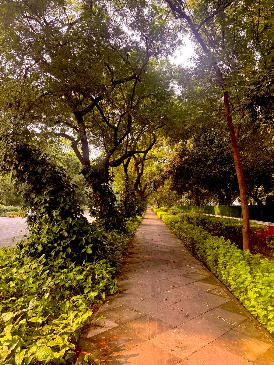 sid17mishra's tweet photo. A walk around Office with Mother Mary https://t.co/hJ3bRT2t3T