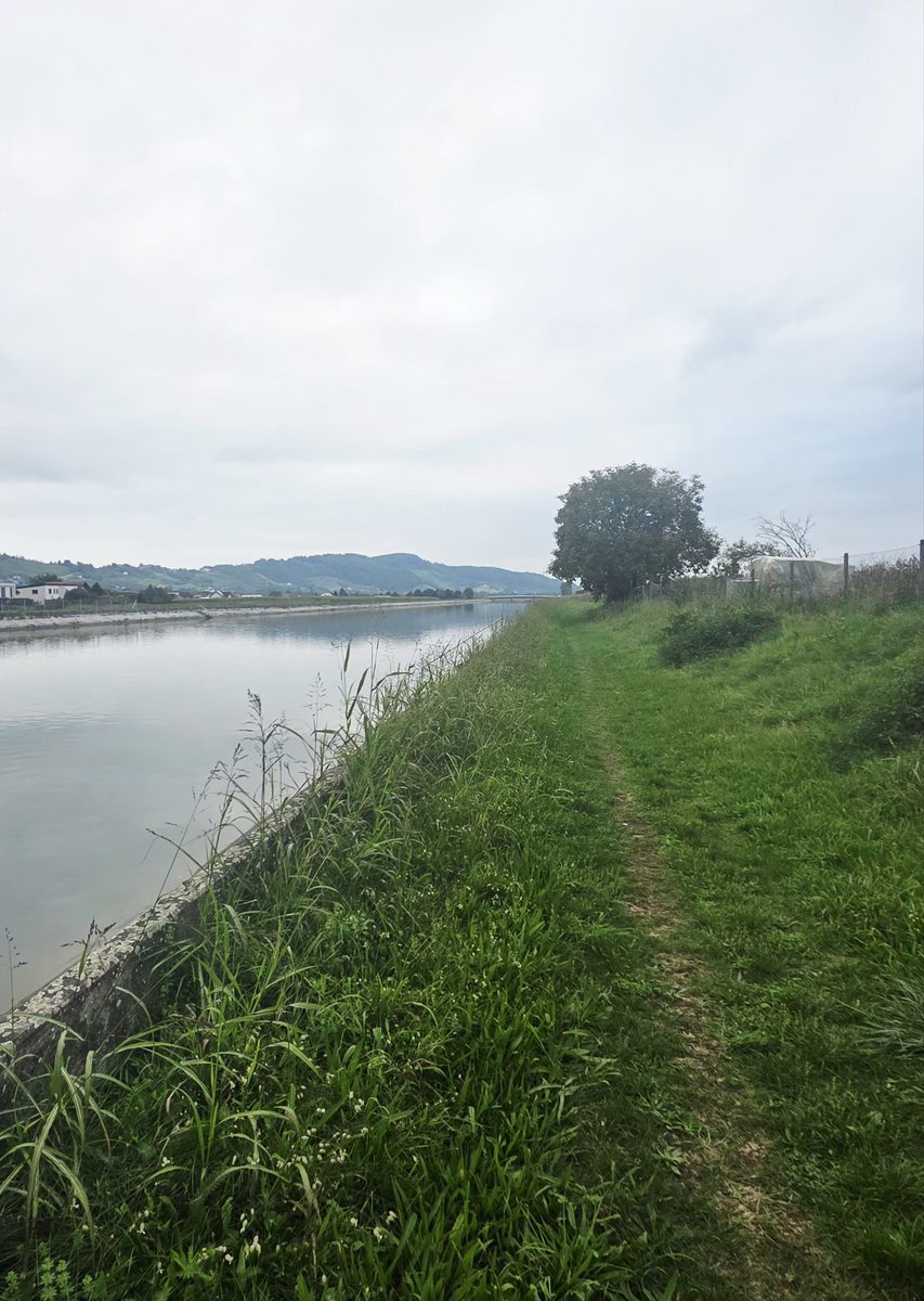 Kim günün birinde yeni bir cennet kurmuşsa, gerekli gücü kendi cehenneminde bulmuştur.