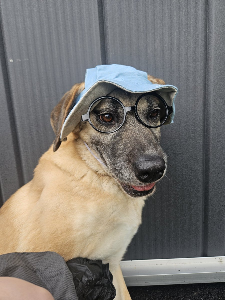 날이 너무 좋아요! 
오시면 아이들의 가족찾는 그 여정에 함 걸음 더 갈수 있어요! 

봉사신청 : docs.google.com/forms/d/e/1FAI…