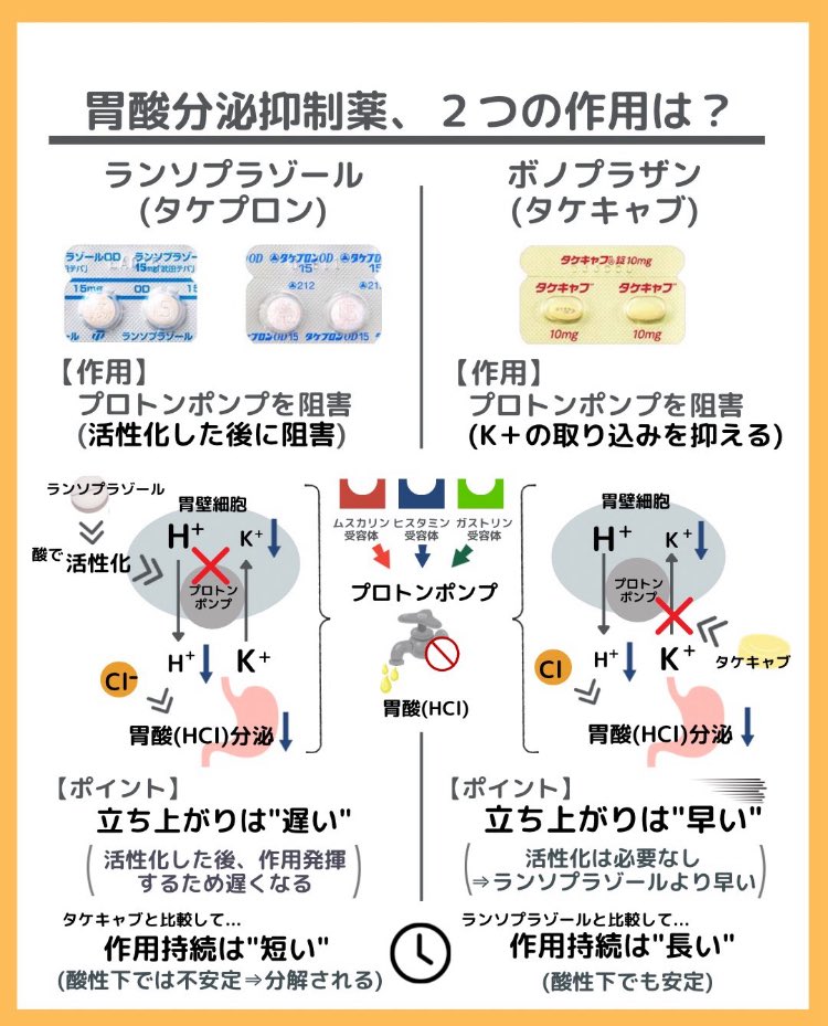 yakuzaishi_p's tweet photo. ✅薬の勉強シリーズ

「胃酸分泌を抑える薬、2つの作用は？」

・ランソプラゾール(タケプロン)
・ボノプラザン(タケキャブ)

プロトンポンプに関与
でも、作用に違いがあります↓↓ https://t.co/UYSTcX2qBw