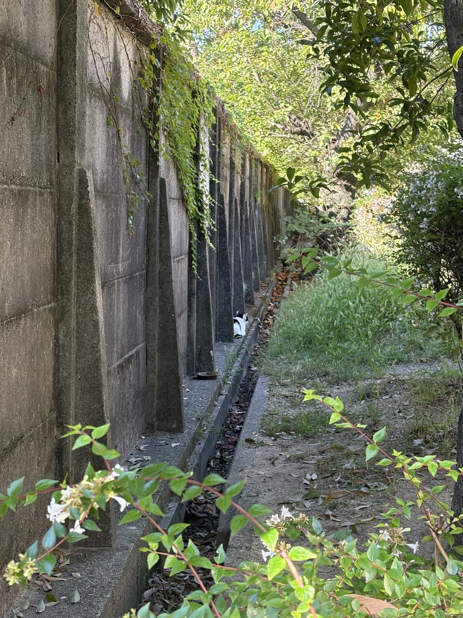 これを見た人は無言で今年10月に撮った写真を貼る - Cerca / X