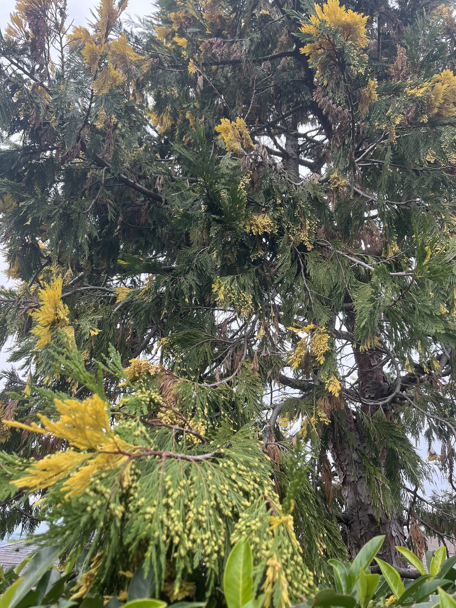 PinkTaxiRunner's tweet image. And did you get what
you wanted from this life, even so?
I did.
And what did you want?
To call myself beloved, to feel myself beloved on the earth. #RaymondCarver #everysinglestreet #Cologny