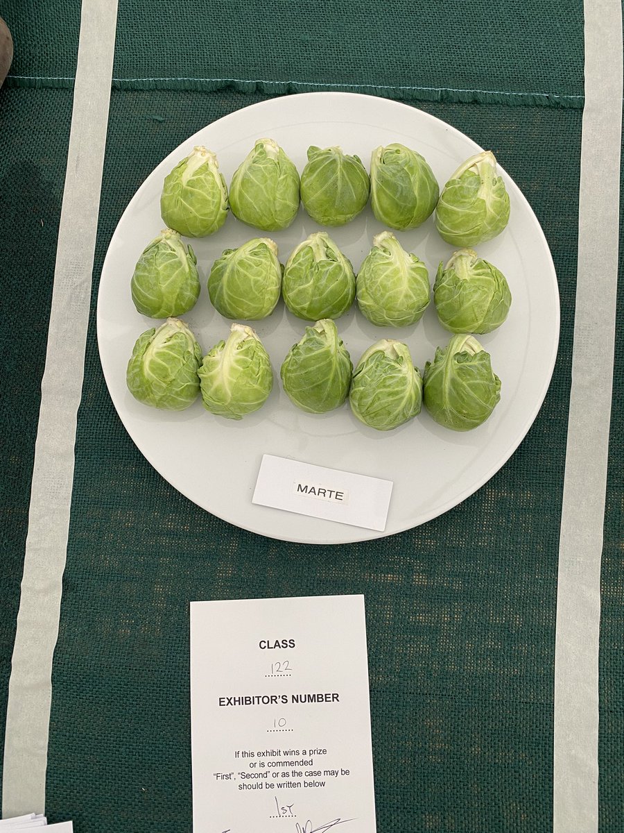 Medwyn Williams tweet media