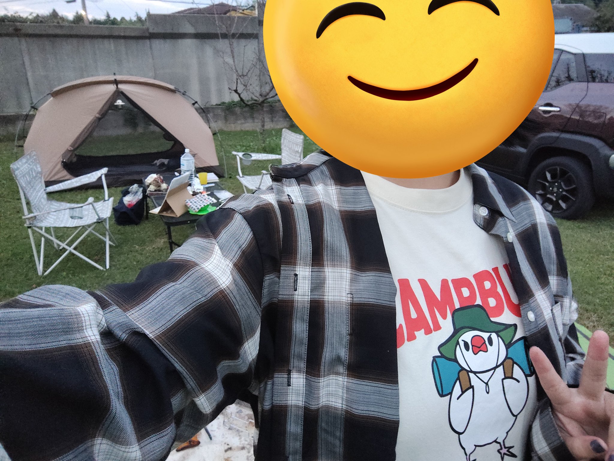 【ひさな】ことりのおおきなあそびば ひさな】ことりのおおきなあそびば 小鳥の遊び場フォージング