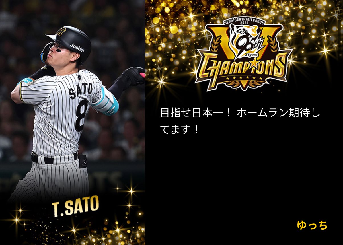 ルナシー即日発送、匿名配送可様　8月12日、24時まで専用です。 阪神タイガース ルナシー即日発送、匿名配送可様 8月12日、24時まで専用です。