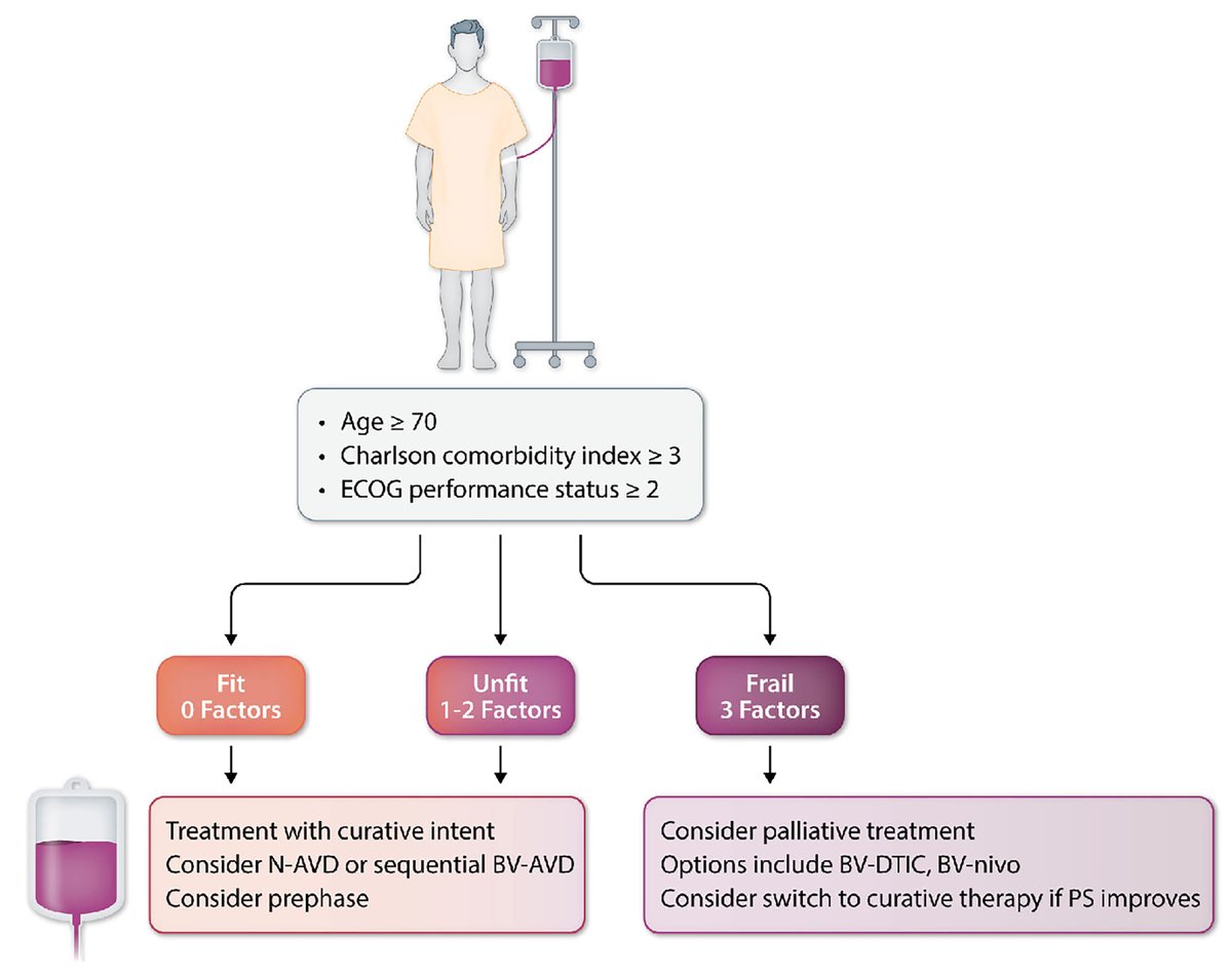 Find here the new simplified index for stratifying older Hodgkin lymphoma patients as fit, unfit, or frail.
haematologica.org/article/view/1…