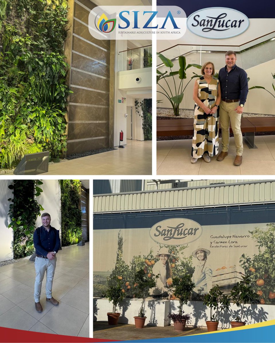 Today, Retha and Werner of SIZA visited SanLucar in Valencia to maintain and strengthen relationships and a continuing partnership. SanLucar is a very important importer to South African agriculture for a wide variety of products.