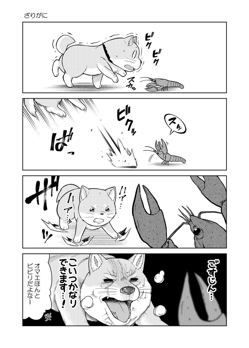 7/9 
