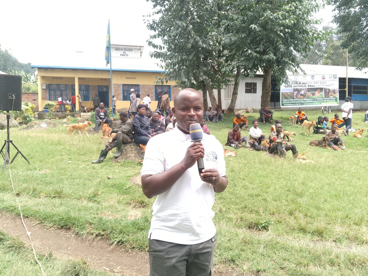 greenafricarw's tweet photo. In celebration of #WorldAnimalsDay2025, under the theme โSave Animals, Save the Planet,โ the Rwanda Animals Welfare Organisation marked the occasion by vaccinating 200 dogs in #Nyange Sector, @MusanzeDistrict #RAWO @RwandaAgriBoard @RwandaAgri @AnimalPlanet
@RDBrwanda @UNEP https://t.co/9y7mXwmNWH