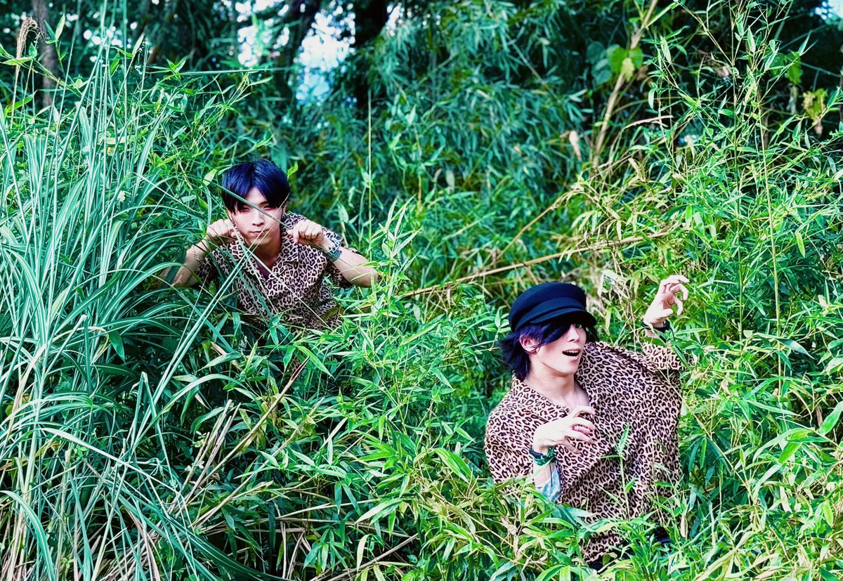 d*7様 d*4様 アナタシア芝健まとめ売り 芝www健www🌱アナタシア👑www on X: 