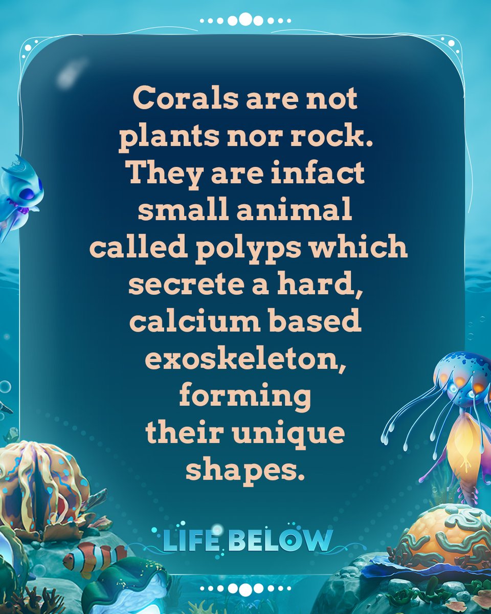 It's Fact Friday! Did you know this about corals?
Wishlist Life Below today - ow.ly/51yQ50X637W