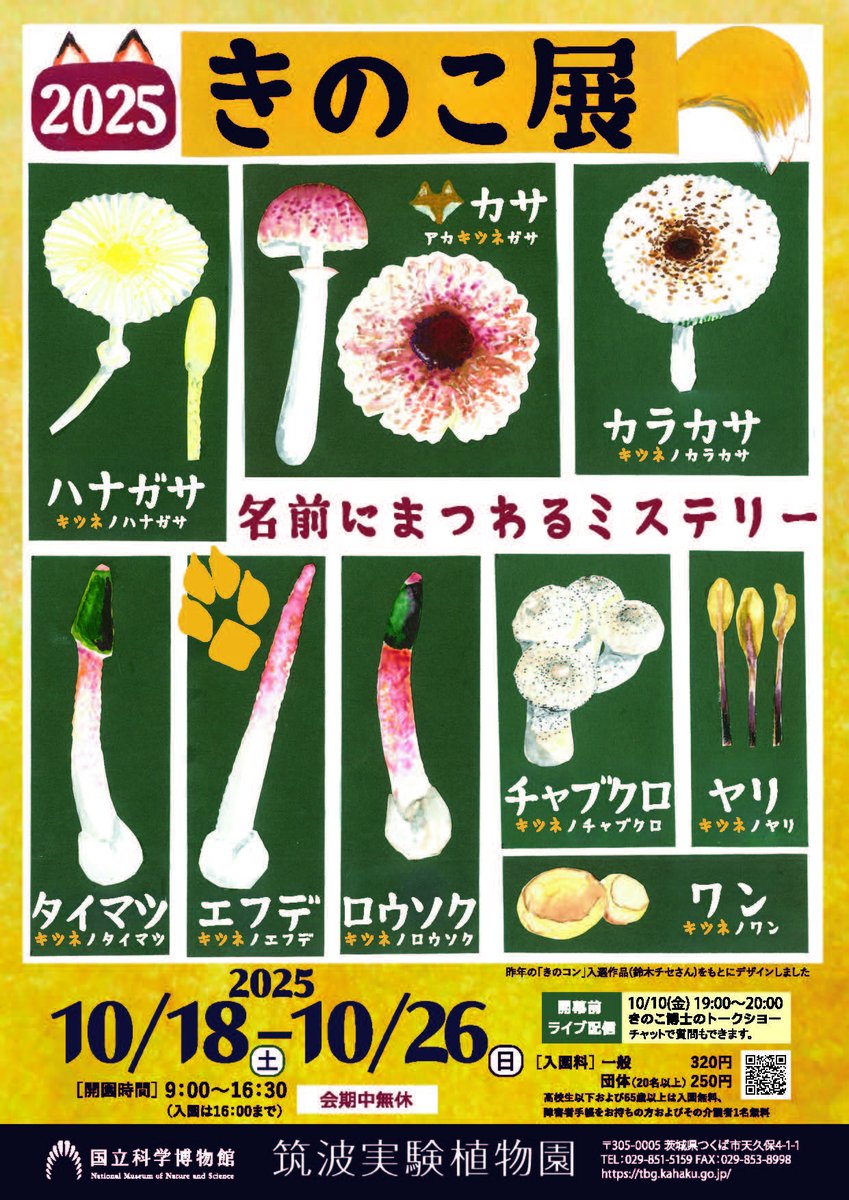 【美品】日本菌学史　2006 日本菌学会 美品】日本菌学史 2006 日本菌学会 Amazon.co.jp: 日本菌学会: