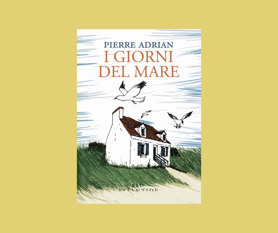 LuciaLibri tweet media