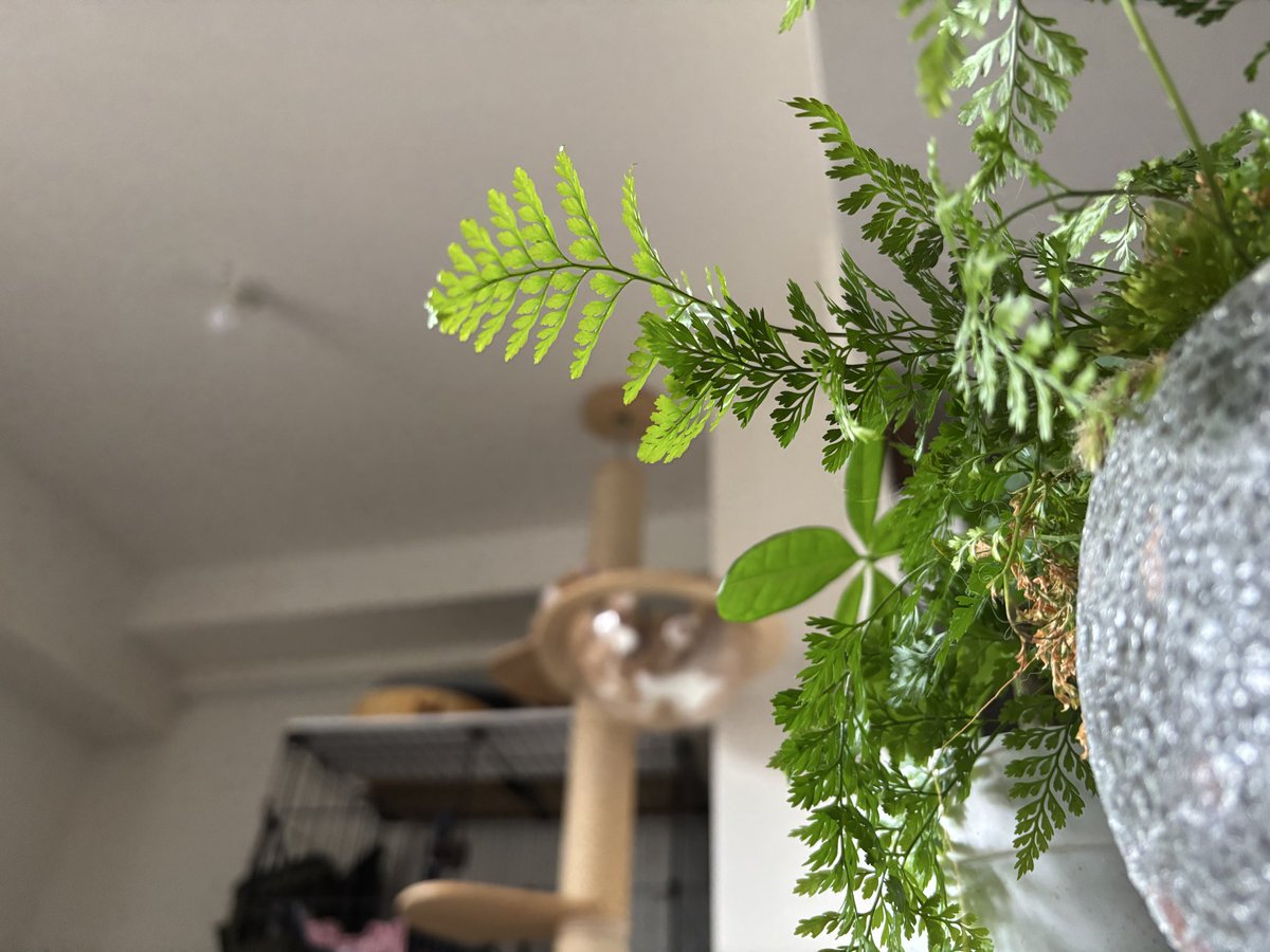 公式】株式会社TKS🚿 (@TKS_Corporate) / Posts / X