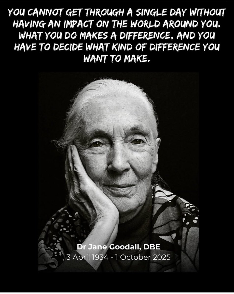 Kiitos inspiraatiosta, Jane Goodall. I can just close my eyes and pretend that I’m in a forest (or diving among the amazing creatures living in our oceans). ❤️