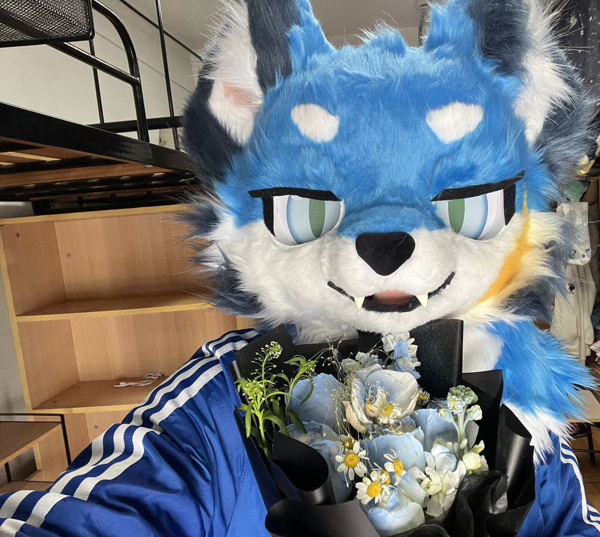 Thank you for the lovely bouquet💐
炒个冷饭～
#FursuitFriday