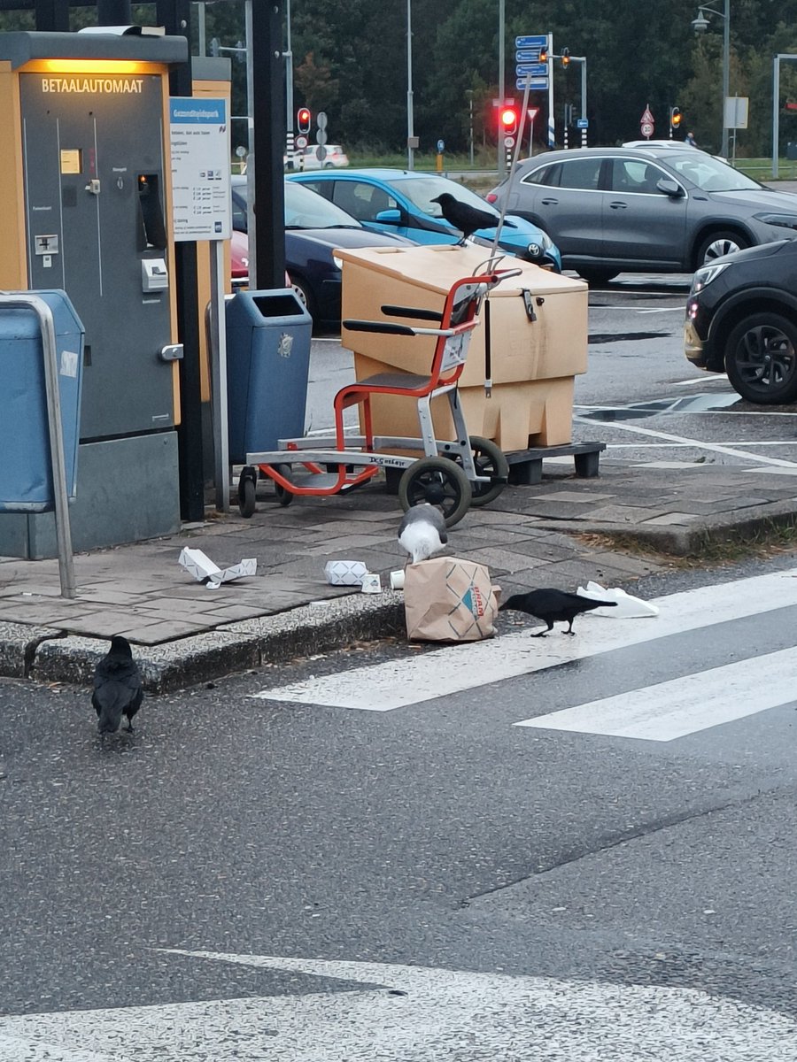 Lekker ontbijten met een Brammetje