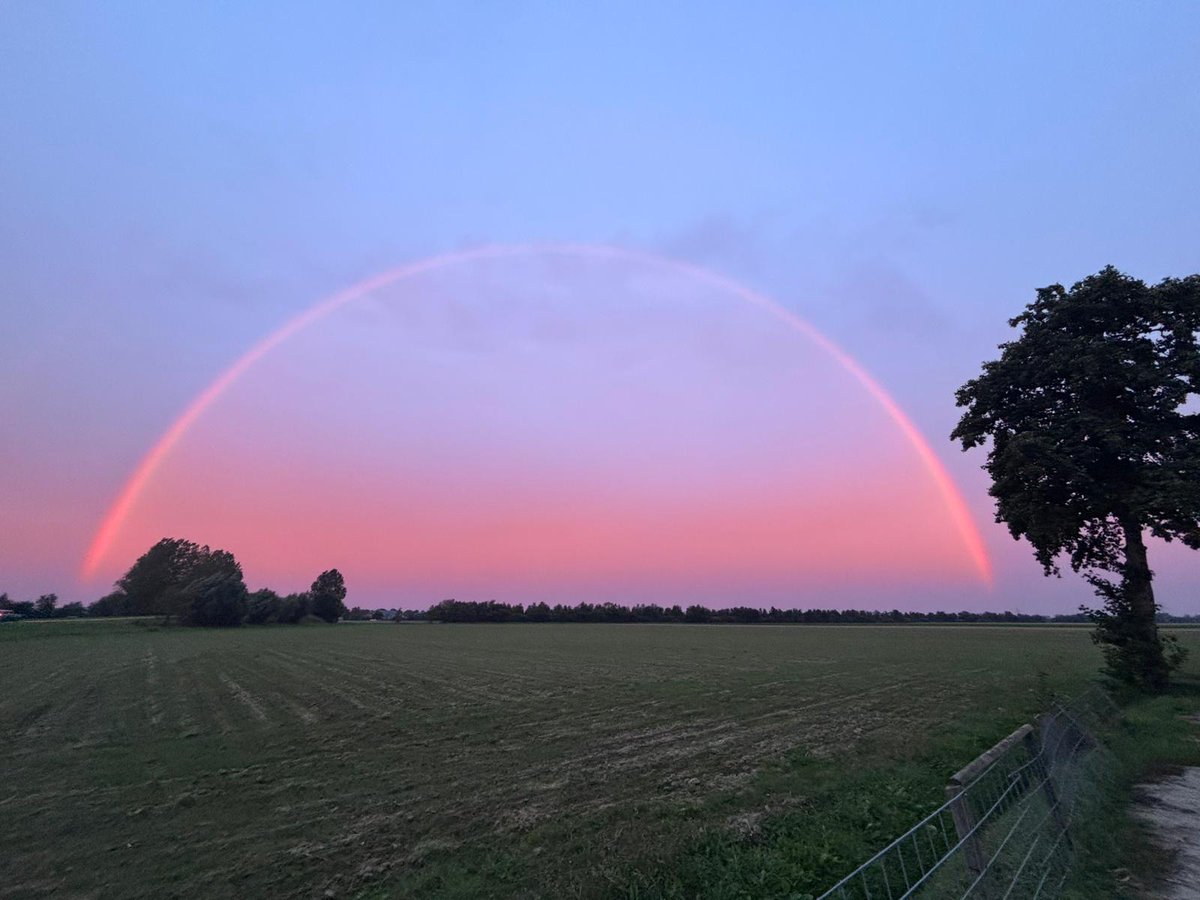 ➡️ Robert de Vries tweet media