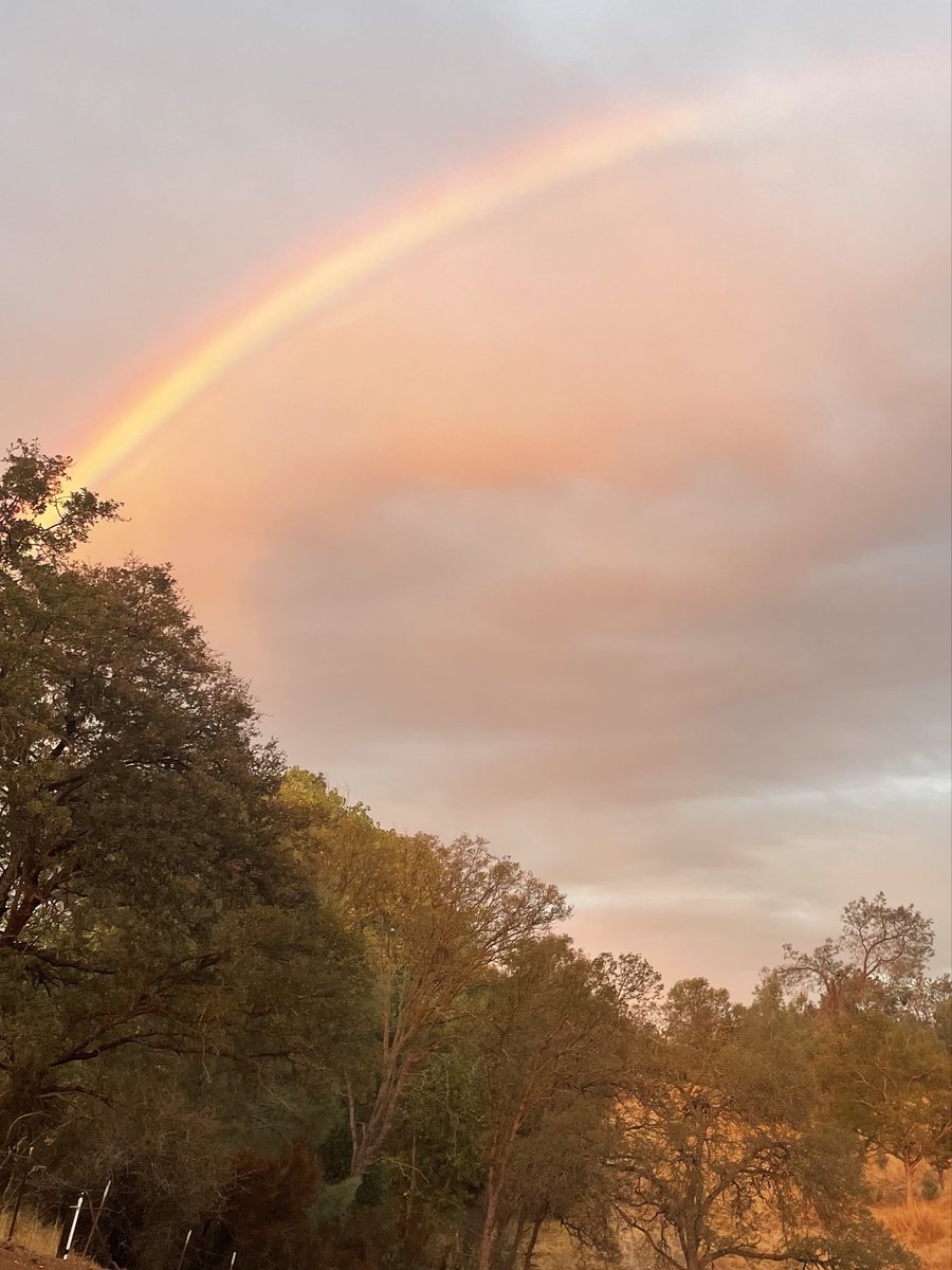 Sheri Lynn tweet media