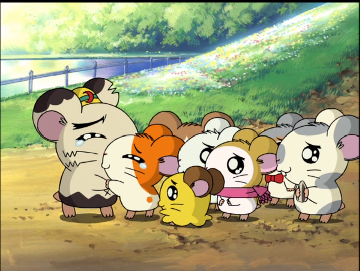 Episode 206, Paradaichu 13: 
