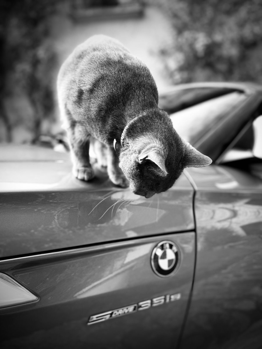 PierreAlain Guilbert (@peage92) on Twitter photo 