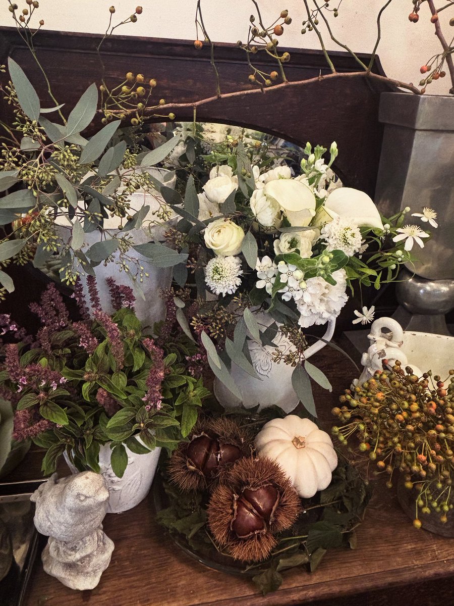 elsur_flower's tweet photo. 10月のお知らせ

10月の火曜日を定休とさせていただきます。
営業時間
平日10時〜18時半
日、祝日17時半まで

ようやく涼しくなって、花を飾りたくなりますね。実物も入荷しています。
#西荻窪
#エルスール　#elsur
#花を飾りたい
#秋の実物 https://t.co/7OEt551Rrt