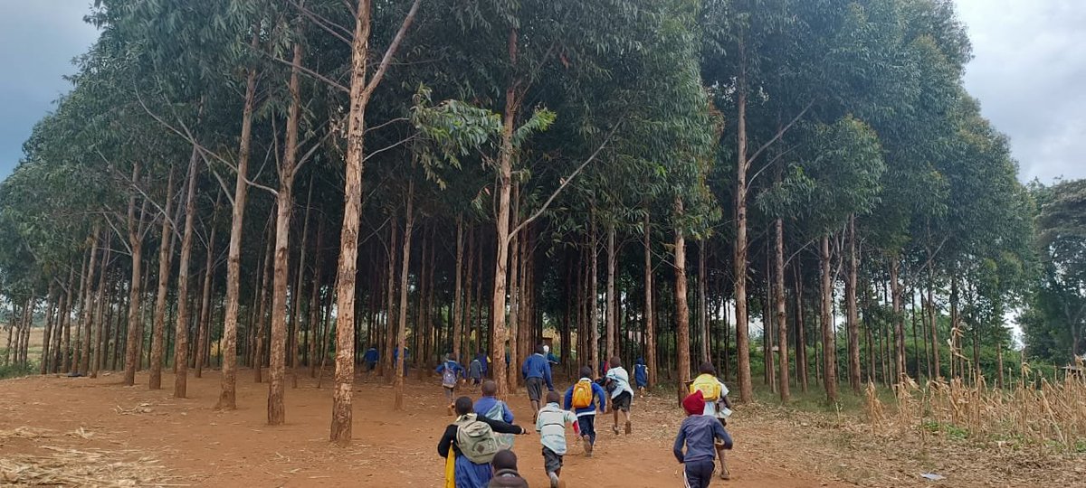 Friends of Mau Watershed (FOMAWA) tweet media