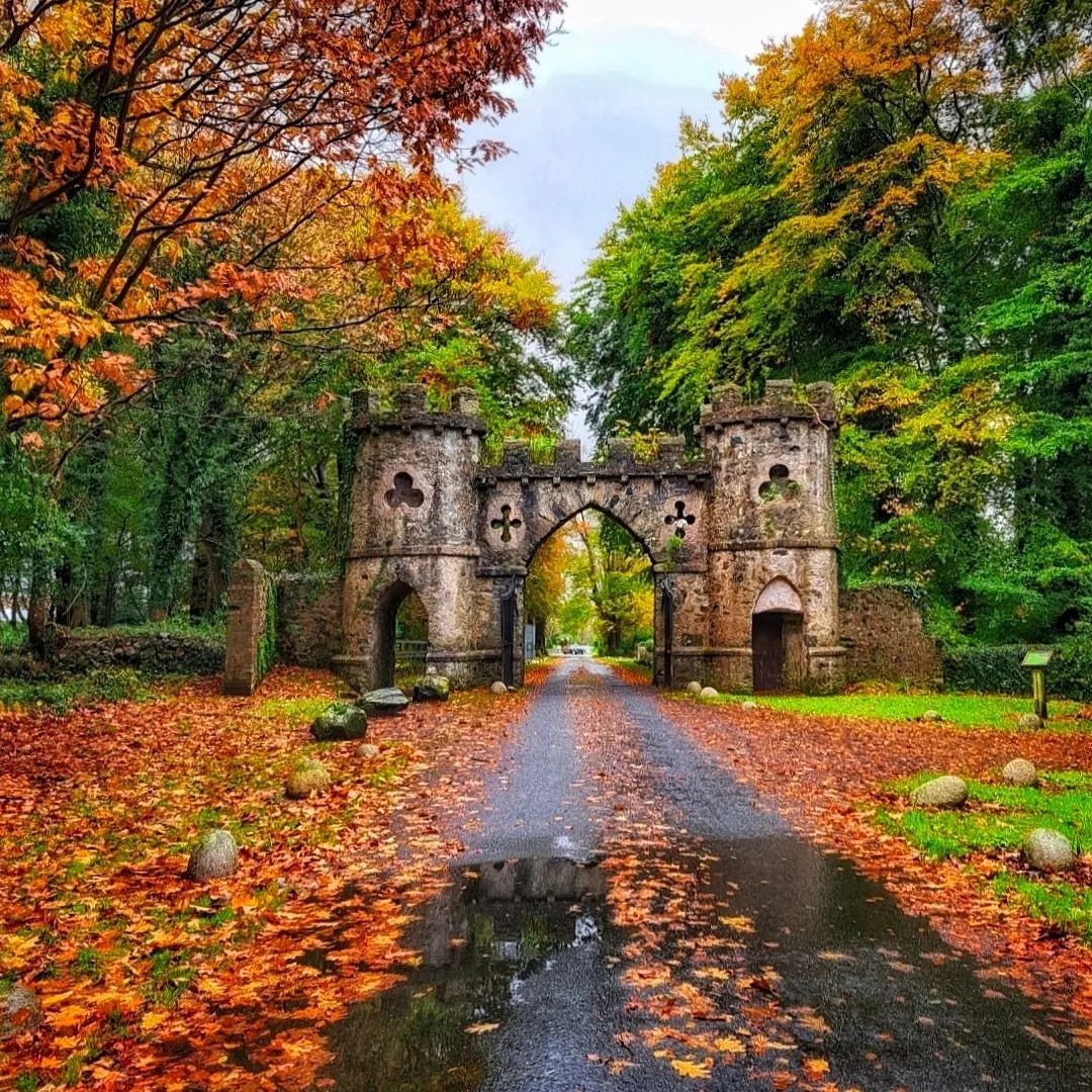 Is this Ireland’s most magical autumn walk? Locals love Tollymore Forest Park! ⬇️🍁 

Just an hour from Belfast, it boasts 1,500+ acres of vibrant autumn colours. Pack a flask for a picnic beneath the trees! 🧡 

📸instagram.com/the_little_gal…