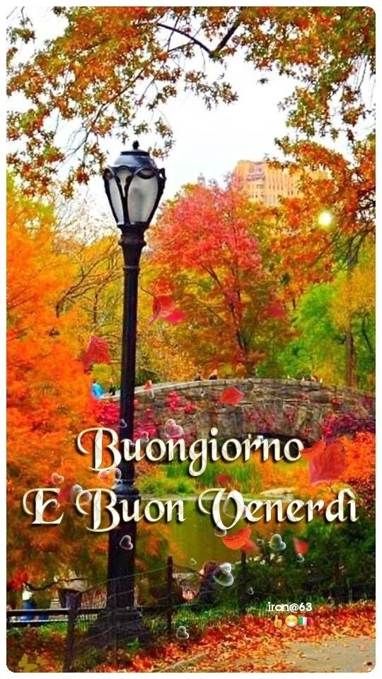 Buongiorno e buona giornata ☀️