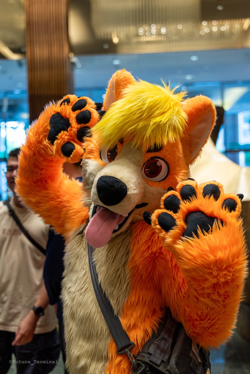 Future_Terminal's tweet image. 🐶

晚了3个月的返图.png

#FursuitFriday 

🧡：@EtOH58Daidai