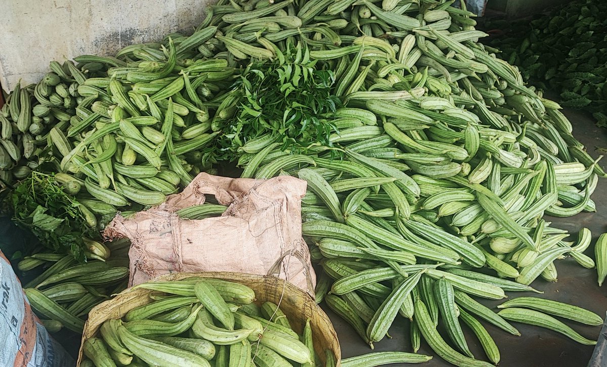 aanamikaray's tweet image. Dada packed 2kg + 2kg for me. Always painful to leave home for concrete jungle.

@monidipadey @bidishapsgs @smitabarooah @SreyashiDey #DurgaPuja #customs #sonam #laxmipuja @KanchanGupta