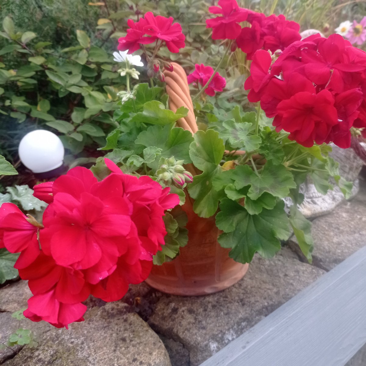 Dzień dobry w piątek 🫡 
Udanego zakończenia tygodnia 👍 
I weekend 😉💪