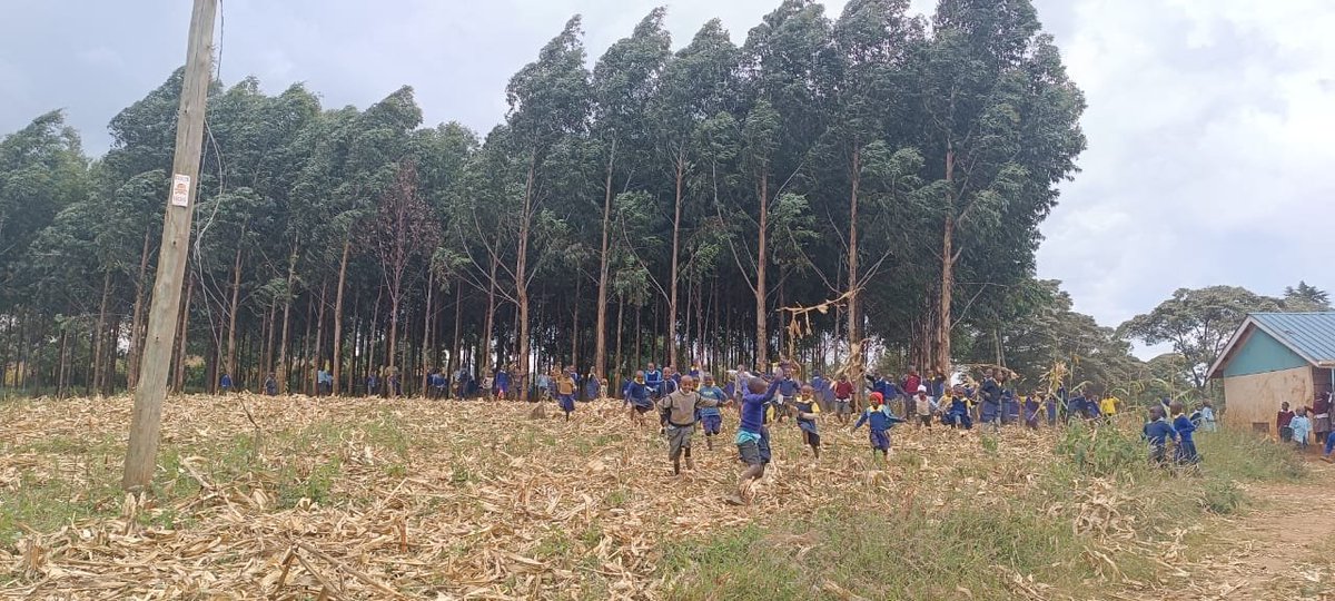 Friends of Mau Watershed (FOMAWA) tweet media