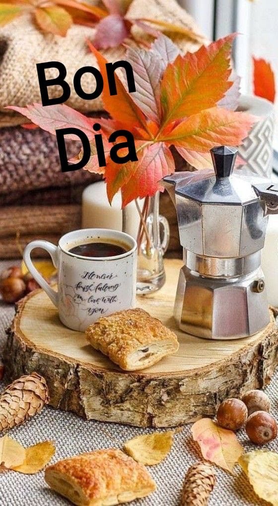 Bon dia a tothom! Dijous i molt per fer. Un cafè i en marxa. 
Som-hi. 🍀💙
