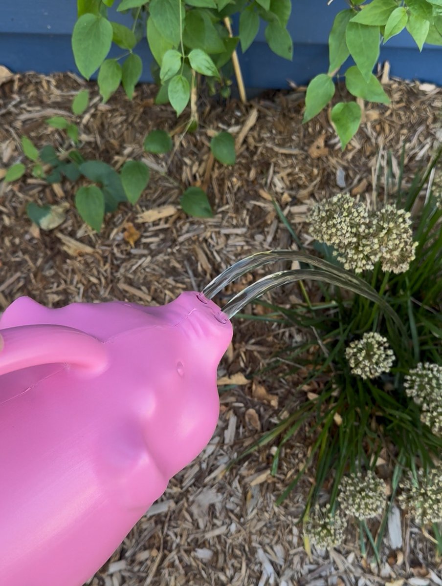Day 10: Laura gave me this pig watering can for Mother’s Day this year, and it makes me smile and think of her every time I use it. What fun gift have you received that makes you smile and think of the person who gave it to you?
