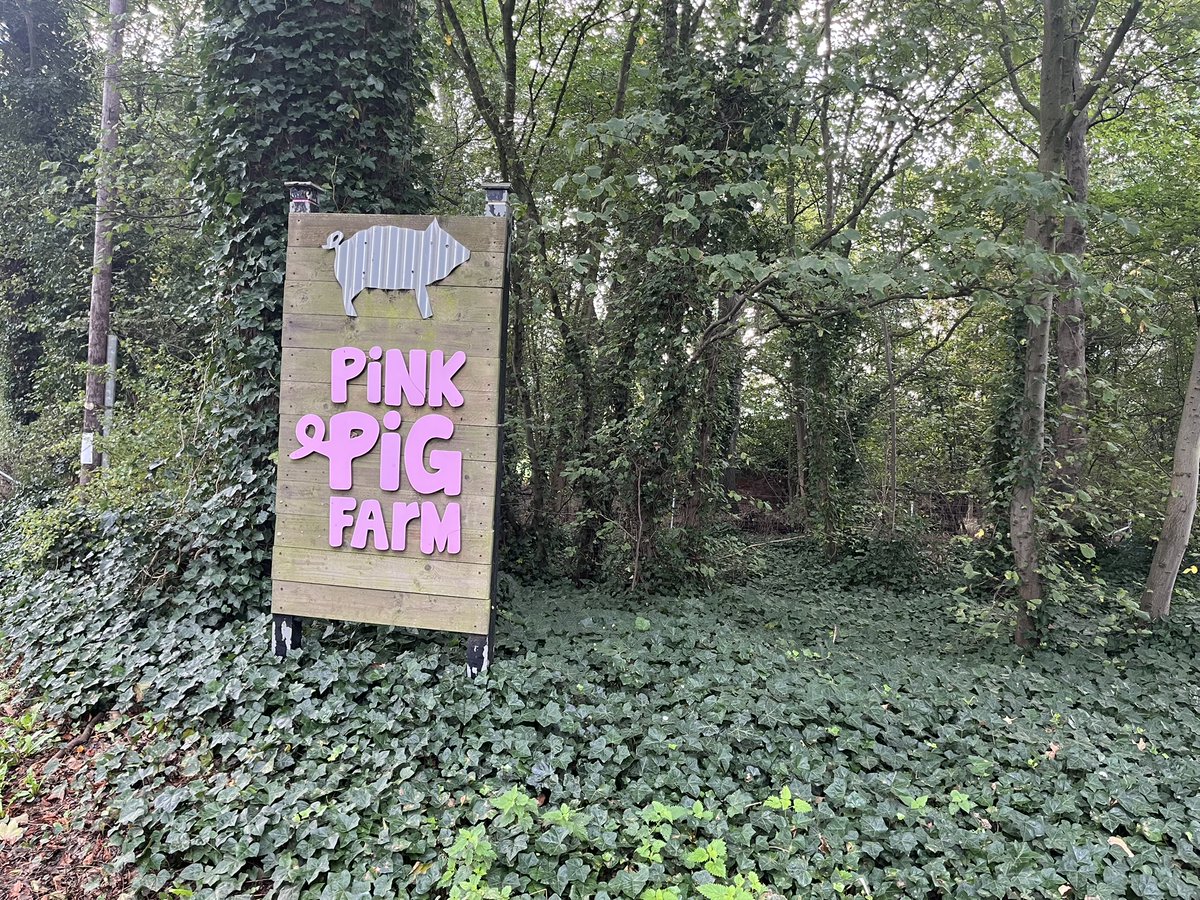 Jennifer Brodie tweet media