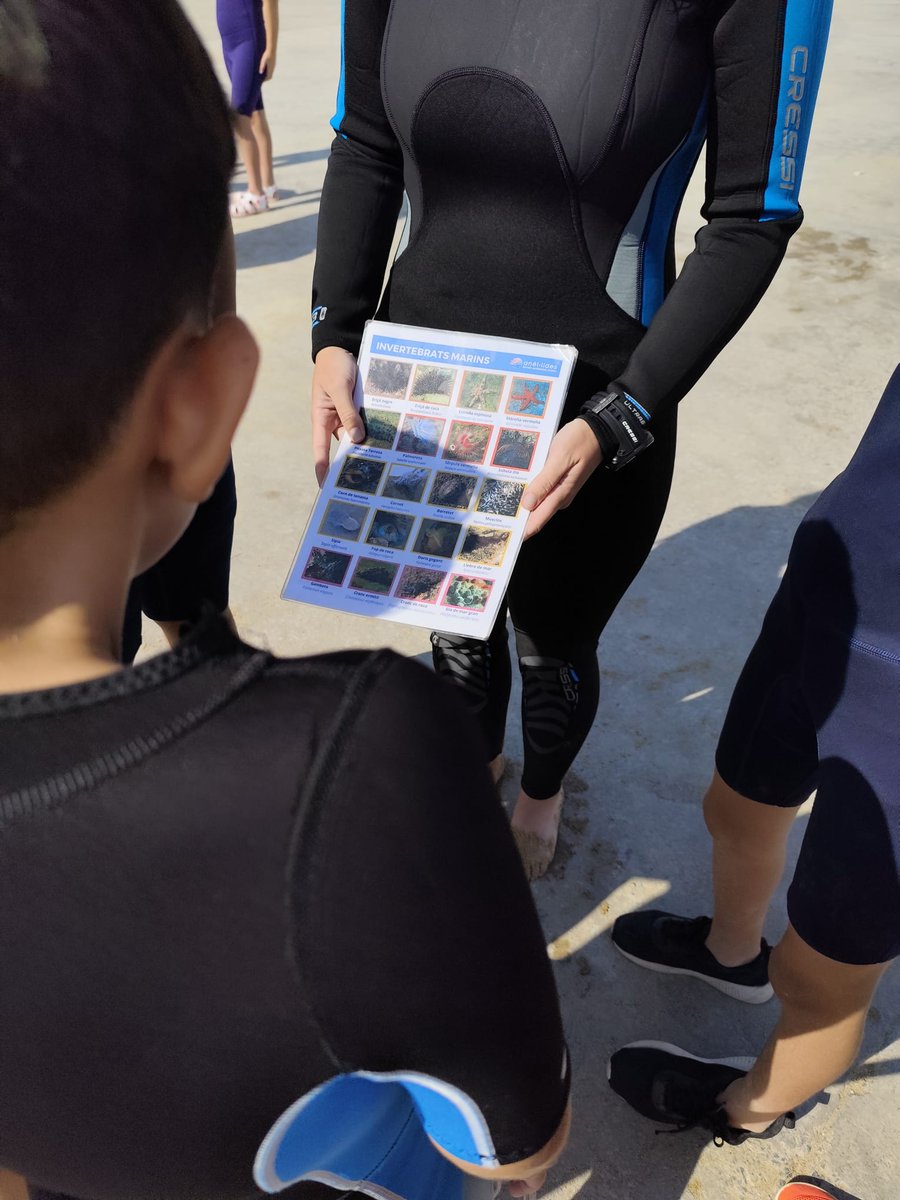 Com hem gaudit del mar! Quines descobertes! Hem fet #snorquel .
#descoberta
#medinatural
#ciclesuperior
#faunamarina
#anellides